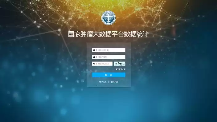 大数据平台登录界面是什么，大数据平台登录界面