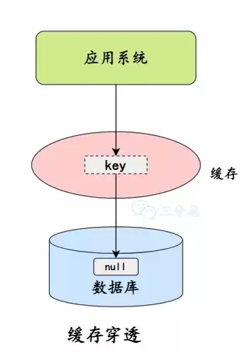 在数据库中存储的是?，在数据库中存储的是。