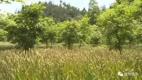 发挥土地资源利用效益最大化的是，发挥土地资源利用效益最大化