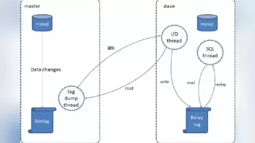 docker mysql数据备份，dockermysql数据迁移