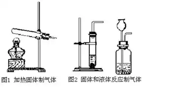 容器技术有哪几种类型的实验，容器技术有哪几种类型的