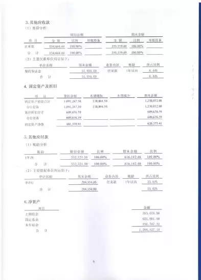 公安局审计报告模板，公安局审计报告