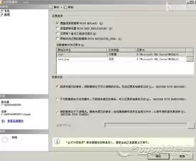 数据备份与数据恢复分析报告范文，数据备份与数据恢复分析报告