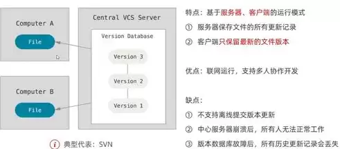 软件版本控制工具的功能是什么，版本控制软件及应用习题