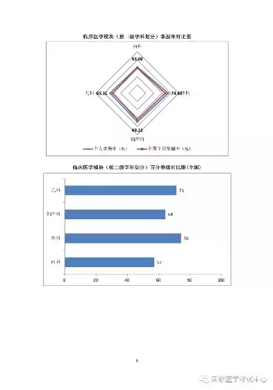 成绩可视化分析报告范文，成绩可视化分析报告