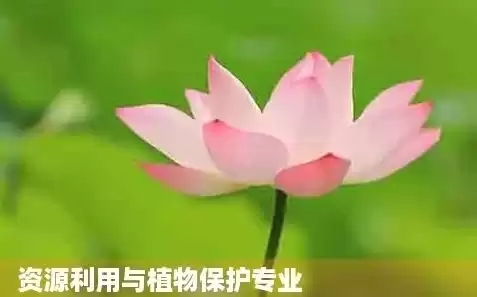 资源利用与植物保护一级学科是啥，资源利用与植物保护一级学科