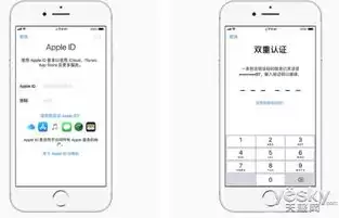 apple数据与隐私下载设备账户是什么，apple数据与隐私下载设备账户