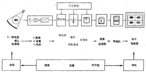 对数据的概念进行描述怎么写，对数据的概念进行描述