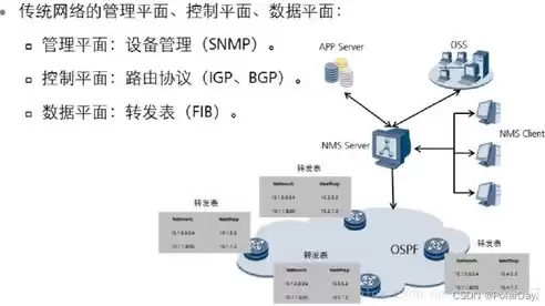 软件定义网络分为，软件定义的网络类型