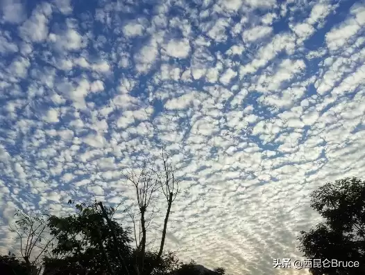 鱼鳞云的预兆，鱼鳞云和地震云的区别图片