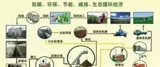 粪污处理利用，粪污资源化利用方式有哪些