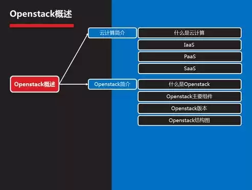 云平台的虚拟化技术有哪些类型，云平台的虚拟化技术有哪些