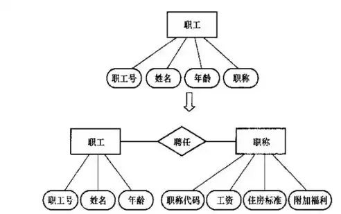 数据库的概念模型与具体的什么有关，数据库的概念模型独立于具体的机器和DBMS。A对B错