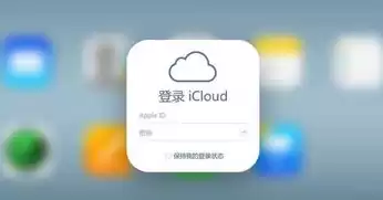 apple数据隐私如何查看内容记录视频，apple数据隐私如何查看内容记录