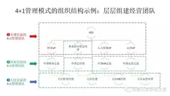 什么是多元化管理学，什么是多元化管理