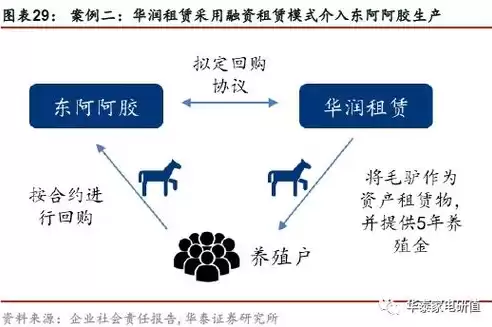 什么是多元化管理学，什么是多元化管理