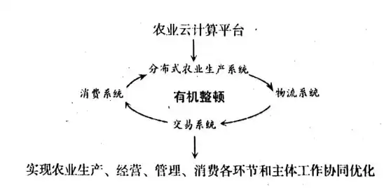 云计算与农作物有什么关联呢?，云计算在农业电商应用中的优势a资源共享b人才共用