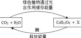 资源循环利用的概念及内涵，资源循环利用三个要素