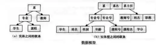 数据库模型通常由那几部分组成?，数据库数据模型组成要素