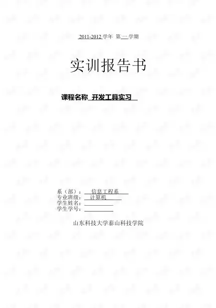 计算机网络技术实训报告总结800字，计算机网络技术实习报告怎么写