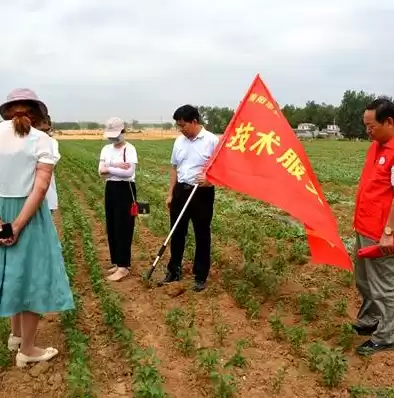 福建省科技特派员服务云平台门户登录不了，福建省科技特派员服务云平台门户