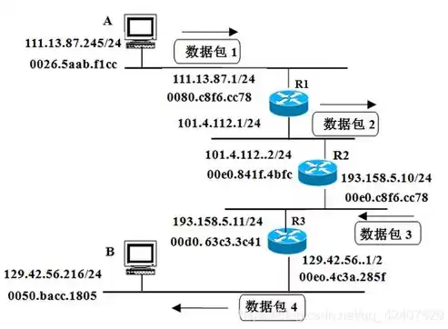 计算机网络技术和软件技术哪个适合女生，计算机网络技术和软件技术哪个好学女孩子