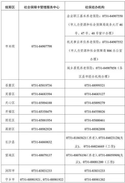 社保数据整理工作总结报告，社保数据整理工作总结报告，标题，社保数据整理工作总结报告——助力社会保障体系优化提升