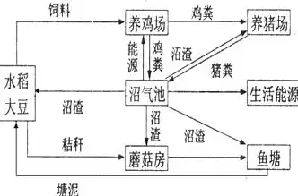 农业废弃物资源化利用率计算公式是什么，农业废弃物资源化利用率计算公式，农业废弃物资源化利用率计算公式解析及其实践应用