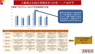 大数据处理与存储技术的发展情况，大数据处理与存储技术，迈向未来，大数据处理与存储技术的创新与发展