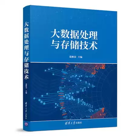 大数据处理与存储技术的发展情况，大数据处理与存储技术，迈向未来，大数据处理与存储技术的创新与发展