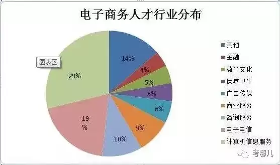 电子商务专业就业前景和就业方向工资，电子商务专业就业前景和就业方向，电子商务专业就业前景分析及多元化职业发展方向探究