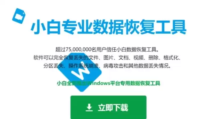 数据恢复软件免费版电脑端怎么下载，数据恢复软件免费版电脑端，轻松恢复数据，免费电脑端数据恢复软件下载全攻略