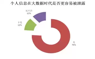 在大数据时代存在个人隐私暴露的巨大风险，大数据时代个人隐私受到了前所未有的威胁对吗，大数据时代个人隐私保护，挑战与应对策略