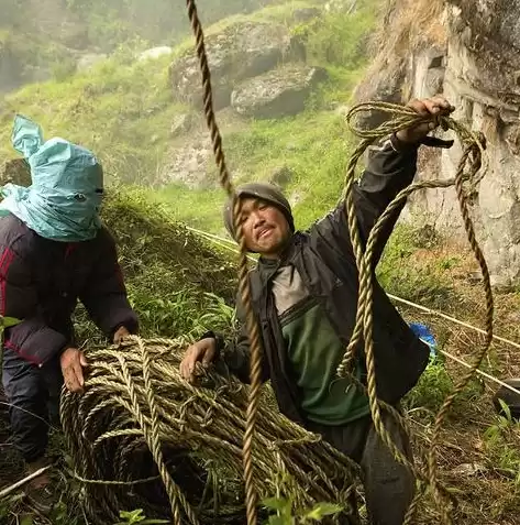 全方位解析，湖北地区网站建设、制作、设计及SEO优化策略，湖北网站定制开发