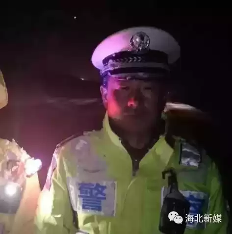 数据恢复精灵官网下载，数据恢复精灵百科，数据恢复精灵，您的数据安全守护神，全面解析与下载指南