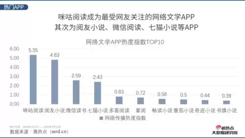 吞吐量助推器翻译，吞吐量助推器，流量加速器，揭秘提升网络吞吐量的神秘力量