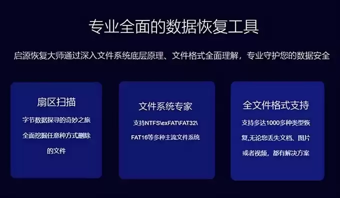 数据恢复公司的利弊有哪些方面，数据恢复公司的利弊有哪些，数据恢复公司，剖析其优势与潜在风险