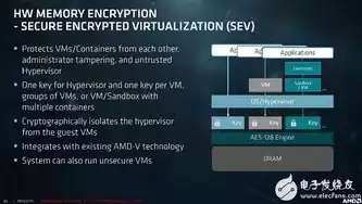 amd开始虚拟化会掉帧吗，amd开始虚拟化，AMD虚拟化技术革新，虚拟化过程是否会引发掉帧现象解析