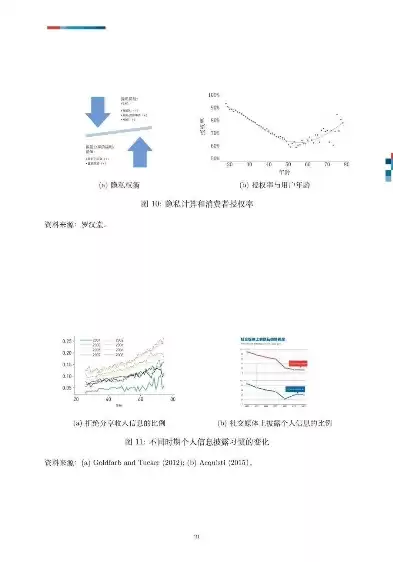 大数据对个人隐私的影响论文，大数据对个人隐私的影响，大数据时代下个人隐私的挑战与应对策略