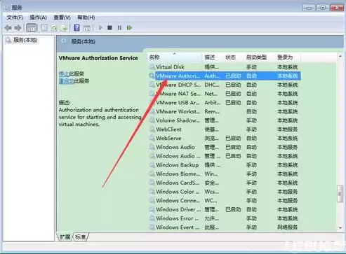 vmware虚拟化管理平台，vmware虚拟化平台常见故障，深入剖析VMware虚拟化平台常见故障及解决策略