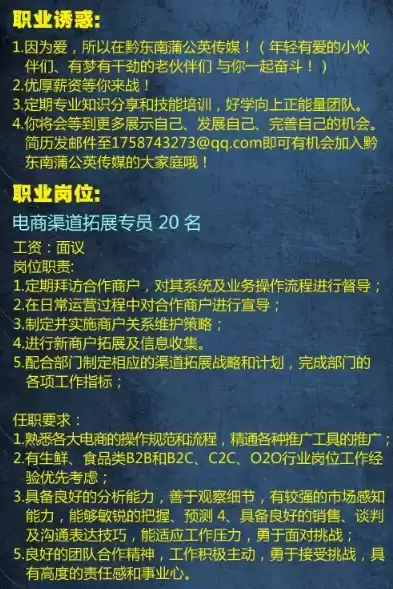 电子商务招聘描述怎么写，电子商务招聘描述，电商精英招募令——携手共创未来，共创辉煌事业！