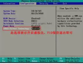 bios开启虚拟化技术，bios vt虚拟化功能开启，深入解析BIOS开启虚拟化技术的步骤与优势