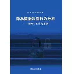 大数据泄露个人隐私，大数据泄露隐私的例子及分析，大数据时代下的隐私泄露，案例分析及启示