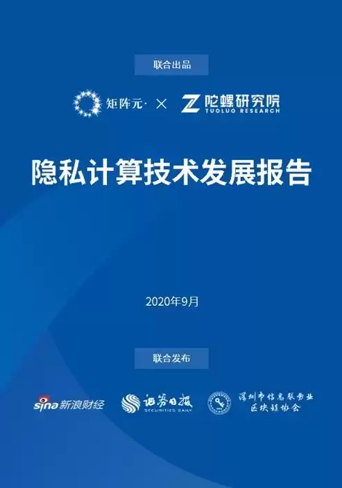 大数据泄露个人隐私，大数据泄露隐私的例子及分析，大数据时代下的隐私泄露，案例分析及启示