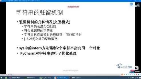 python+数据挖掘，python3数据挖掘，深入解析Python在数据挖掘领域的应用与实践