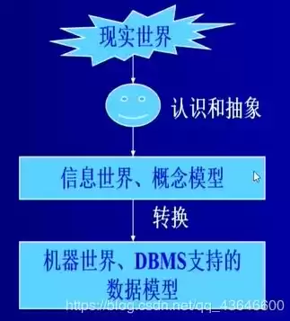 数据库的种类及特点有哪些，数据库的种类及特点，数据库的世界，种类繁多，特点各异