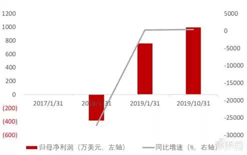 企业上的云指的是什么云，企业上云的云是啥意思，企业上云，揭秘云的奥秘及其在企业中的应用