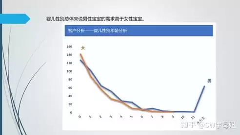 可视化数据图表怎么做PPT，可视化数据图表怎么做，打造专业PPT，可视化数据图表制作全攻略