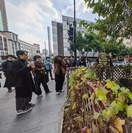 社区运营群玩法，社区群运营是什么的目的，社区群运营，构建互动交流的线上乐园，实现社群价值最大化