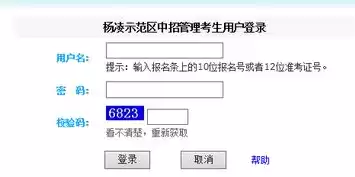 混合盘是什么意思，混合盘搜索官网入口，探索混合盘的奥秘，一站式官网入口揭秘